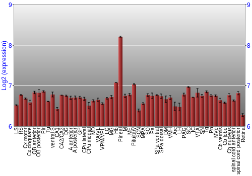 Expression graph