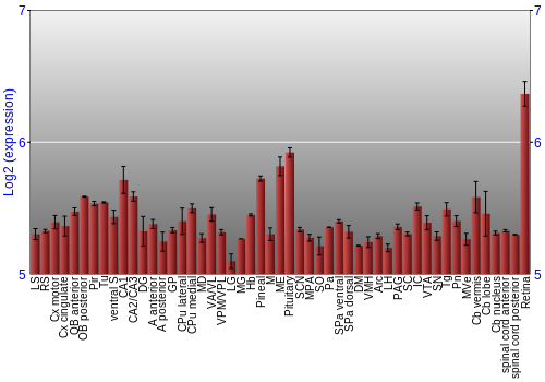 Expression graph
