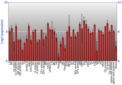 Expression graph