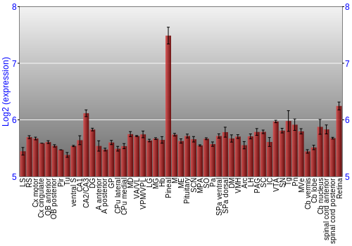 Expression graph