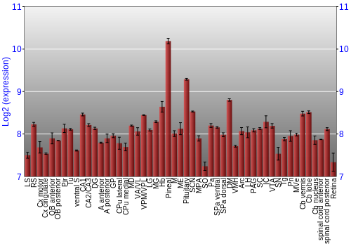 Expression graph