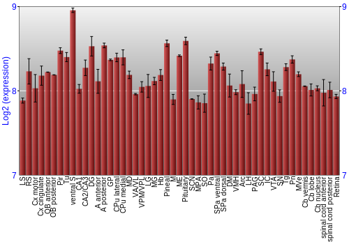 Expression graph