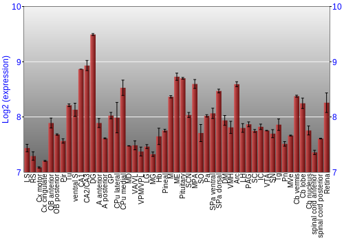 Expression graph