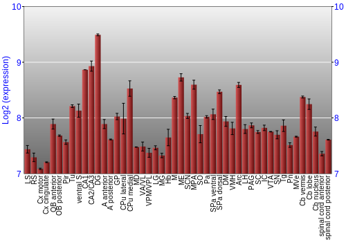 Multi-state expression graph