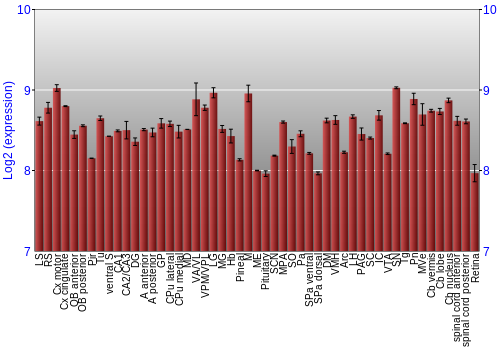 Expression graph