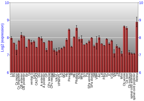 Expression graph