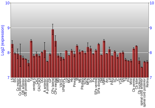 Expression graph