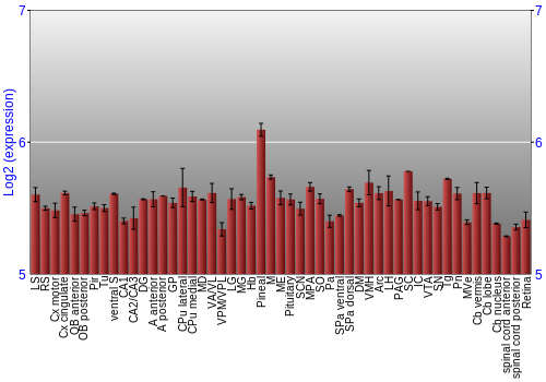 Expression graph