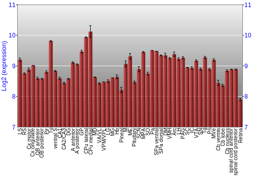 Expression graph