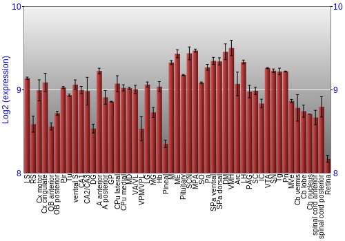 Expression graph