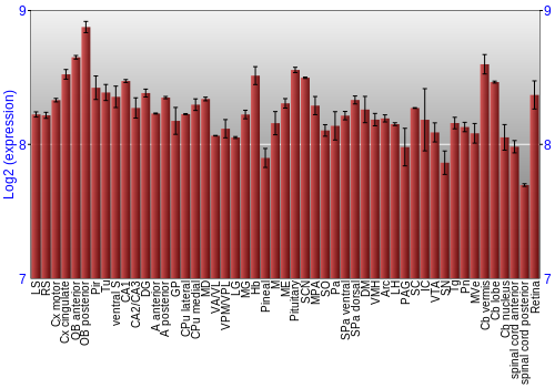 Expression graph