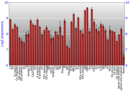 Expression graph