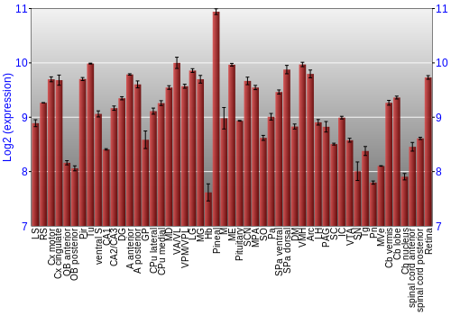 Expression graph