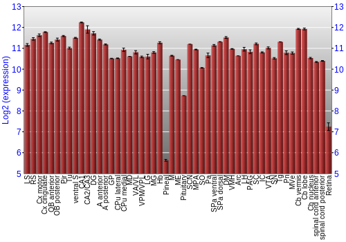 Expression graph