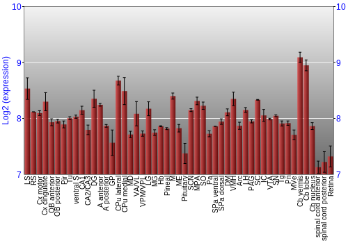 Expression graph