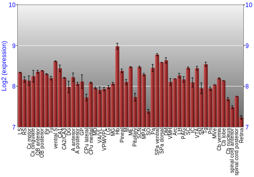 Expression graph