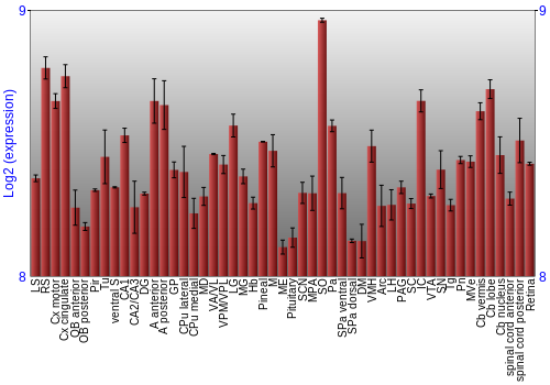 Expression graph
