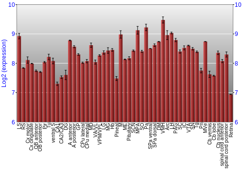 Expression graph