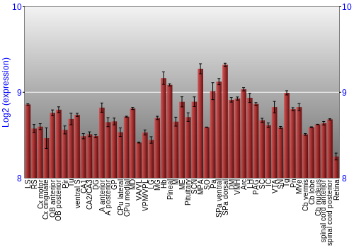 Expression graph
