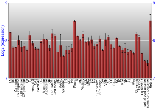 Expression graph