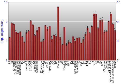 Expression graph