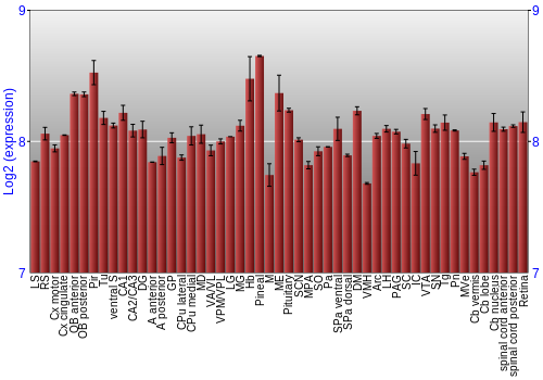 Expression graph