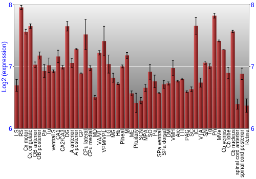 Expression graph