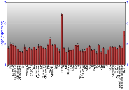 Expression graph