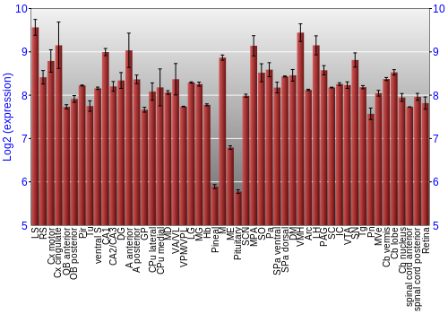 Expression graph