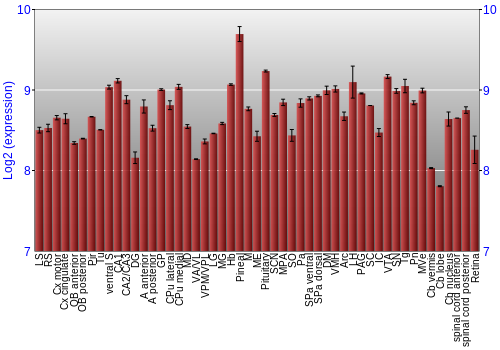 Expression graph