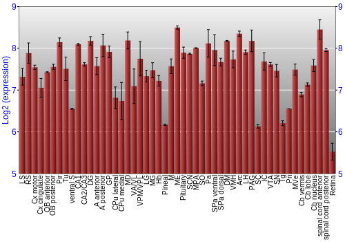 Expression graph