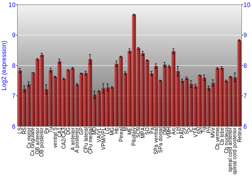Expression graph