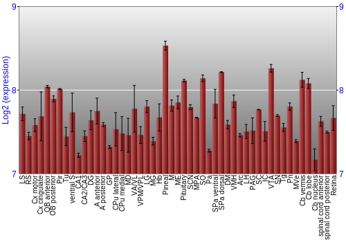 Expression graph
