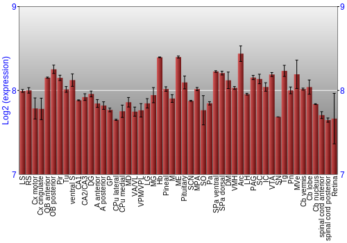 Expression graph