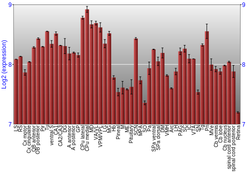 Expression graph