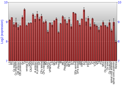Expression graph