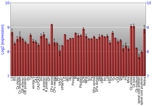 Expression graph