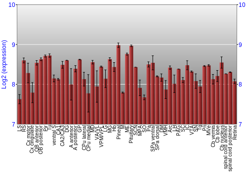 Expression graph