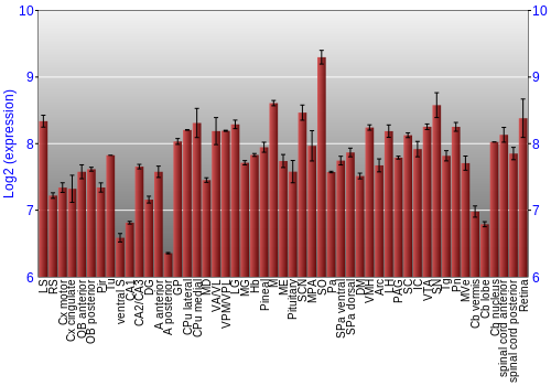 Expression graph