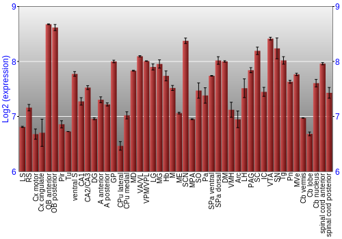Multi-state expression graph