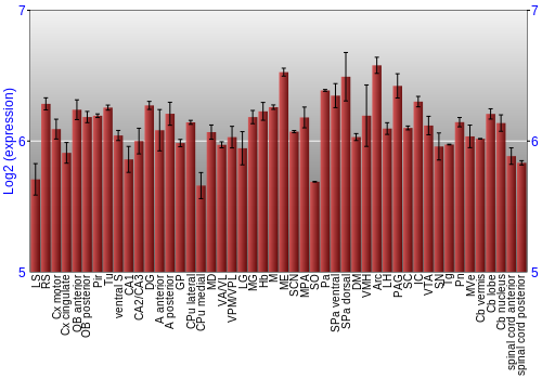 Multi-state expression graph