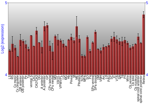 Expression graph