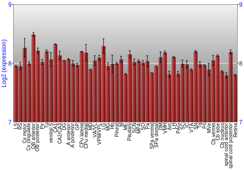 Expression graph