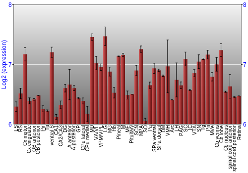 Expression graph