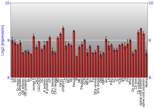 Expression graph