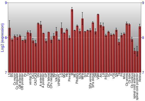 Expression graph
