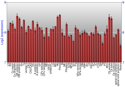Expression graph