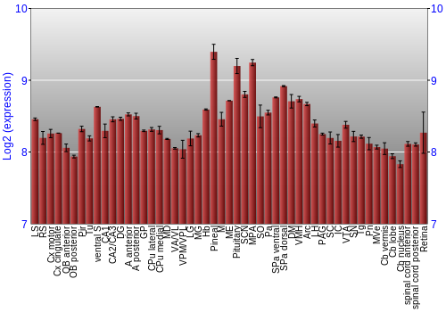 Expression graph