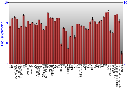 Expression graph