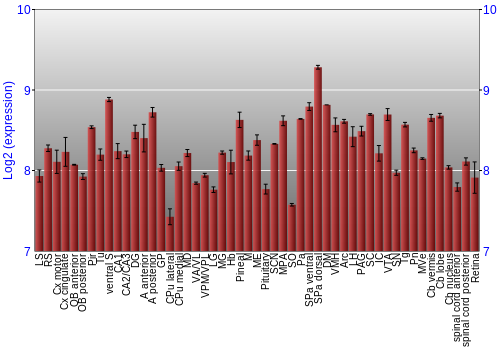 Expression graph